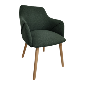 Fotoliu design